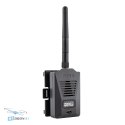 RadioMaster TX Module RadioMaster Micro/Nano 4in1 LBT main view buy at HTDRONE